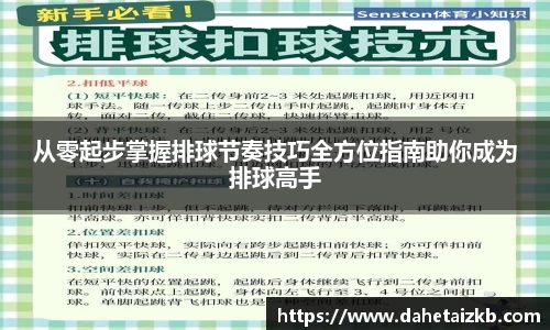 星空综合官网首页