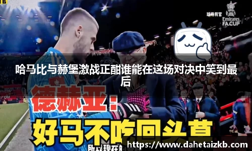 哈马比与赫堡激战正酣谁能在这场对决中笑到最后